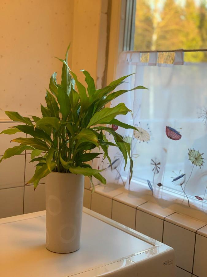 Cozy House In Kosta Center Surrounding With Swedish Nature Eksteriør billede