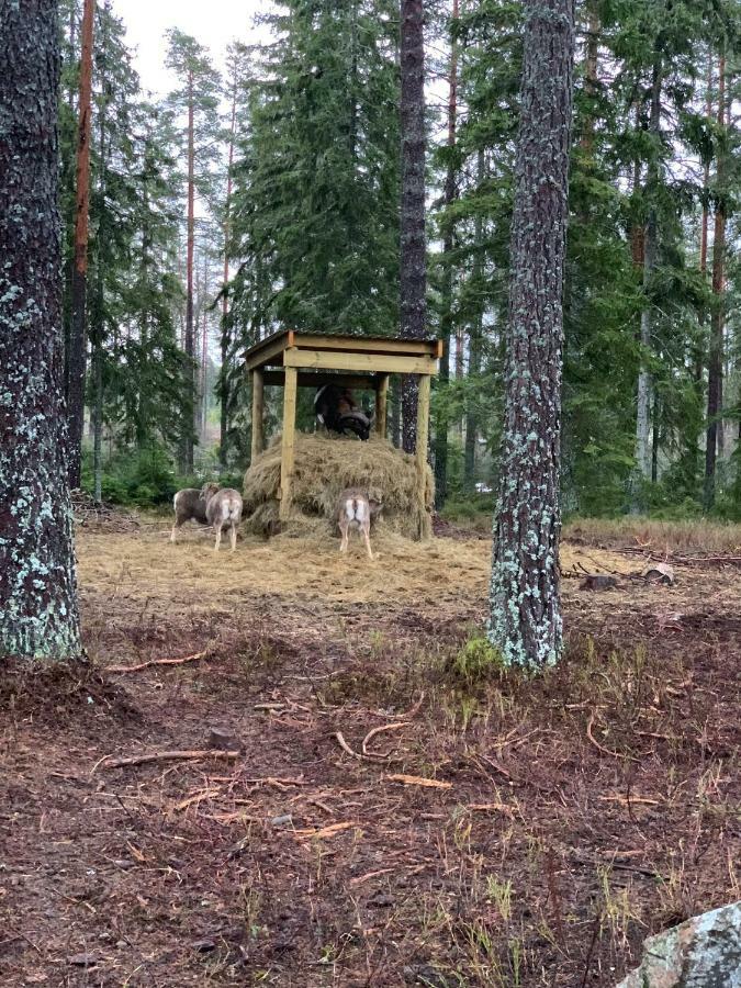 Cozy House In Kosta Center Surrounding With Swedish Nature Eksteriør billede
